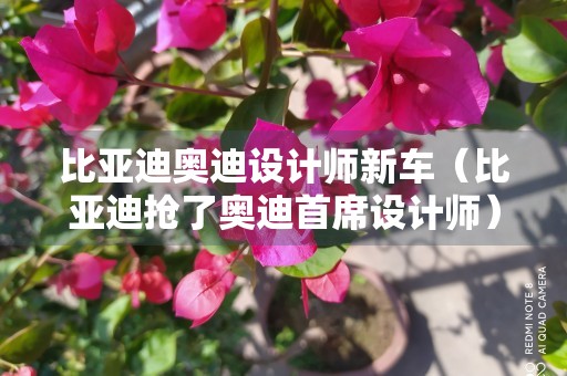 比亚迪奥迪设计师新车（比亚迪抢了奥迪首席设计师）