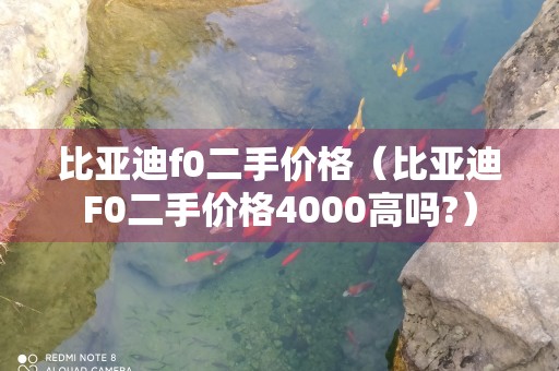 比亚迪f0二手价格（比亚迪F0二手价格4000高吗?）