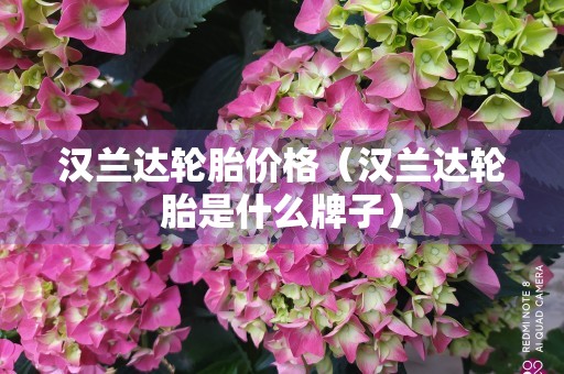 汉兰达轮胎价格（汉兰达轮胎是什么牌子）