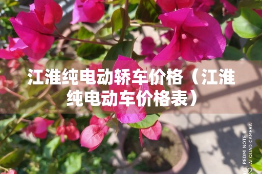 江淮纯电动轿车价格（江淮纯电动车价格表）