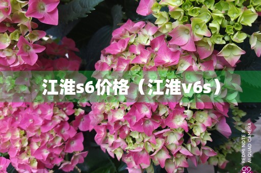 江淮s6价格（江淮v6s）