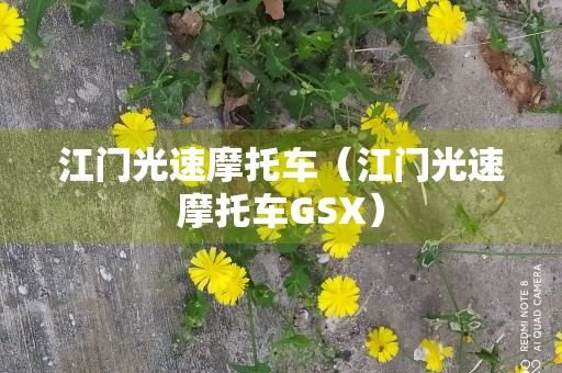 江门光速摩托车（江门光速摩托车GSX）