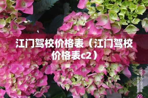 江门驾校价格表（江门驾校价格表c2）