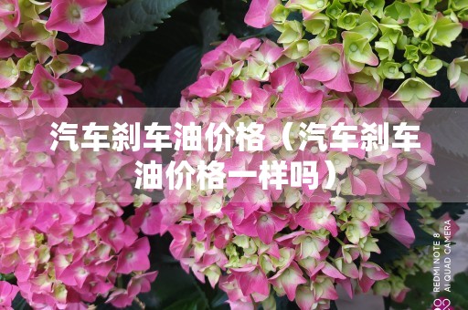 汽车刹车油价格（汽车刹车油价格一样吗）