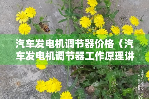 汽车发电机调节器价格（汽车发电机调节器工作原理讲解）