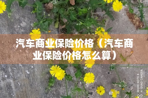 汽车商业保险价格（汽车商业保险价格怎么算）