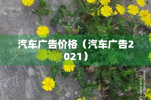 汽车广告价格（汽车广告2021）