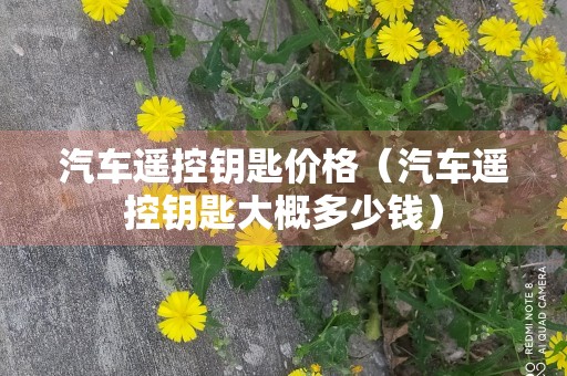 汽车遥控钥匙价格（汽车遥控钥匙大概多少钱）