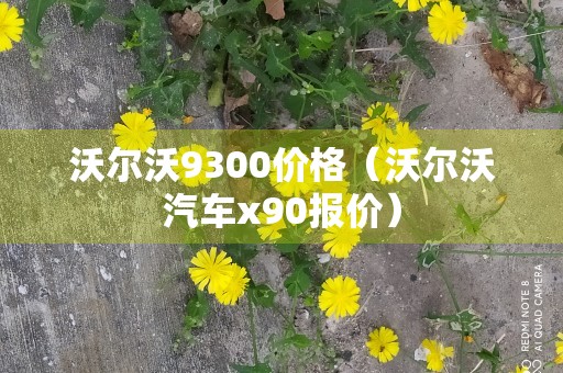 沃尔沃9300价格（沃尔沃汽车x90报价）