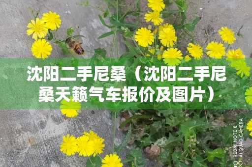 沈阳二手尼桑（沈阳二手尼桑天籁气车报价及图片）