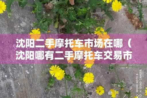 沈阳二手摩托车市场在哪（沈阳哪有二手摩托车交易市场）