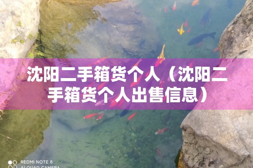 沈阳二手箱货个人（沈阳二手箱货个人出售信息）