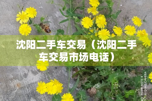 沈阳二手车交易（沈阳二手车交易市场电话）