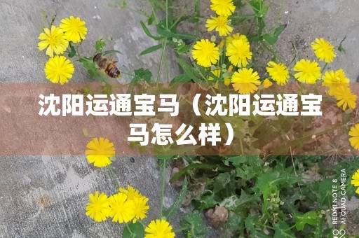 沈阳运通宝马（沈阳运通宝马怎么样）