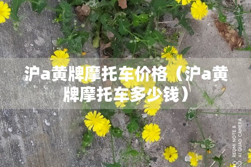 沪a黄牌摩托车价格（沪a黄牌摩托车多少钱）