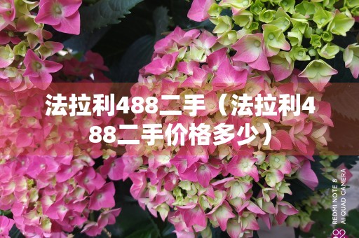 法拉利488二手（法拉利488二手价格多少）