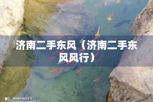 济南二手东风（济南二手东风风行）