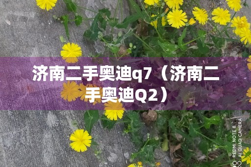 济南二手奥迪q7（济南二手奥迪Q2）