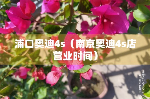 浦口奥迪4s（南京奥迪4s店营业时间）