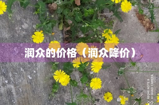 润众的价格（润众降价）