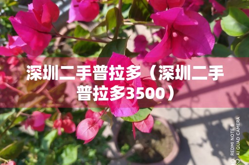 深圳二手普拉多（深圳二手普拉多3500）