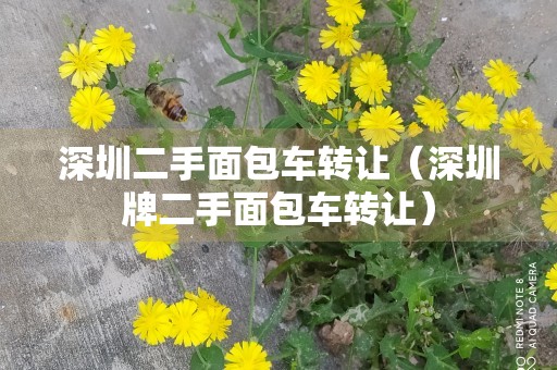 深圳二手面包车转让（深圳牌二手面包车转让）