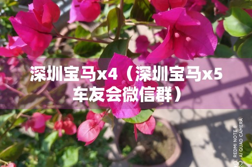 深圳宝马x4（深圳宝马x5车友会微信群）