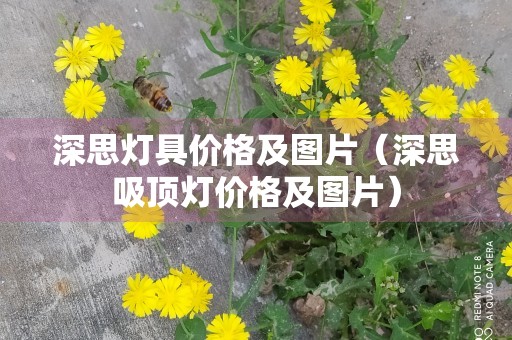 深思灯具价格及图片（深思吸顶灯价格及图片）