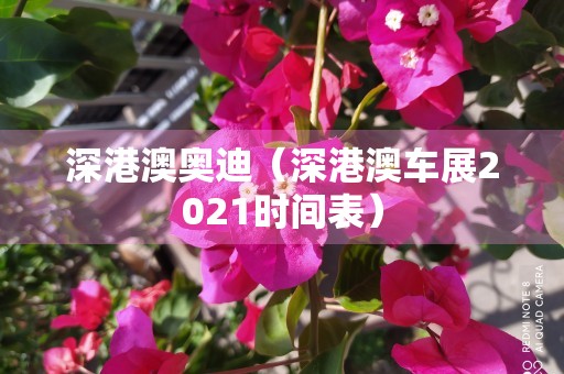 深港澳奥迪（深港澳车展2021时间表）