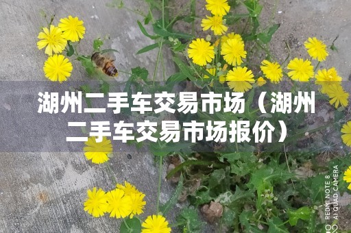 湖州二手车交易市场（湖州二手车交易市场报价）