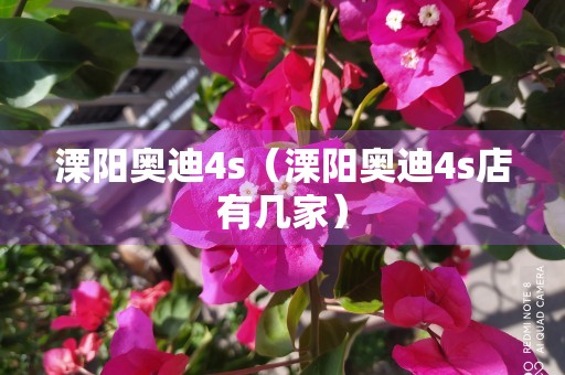 溧阳奥迪4s（溧阳奥迪4s店有几家）