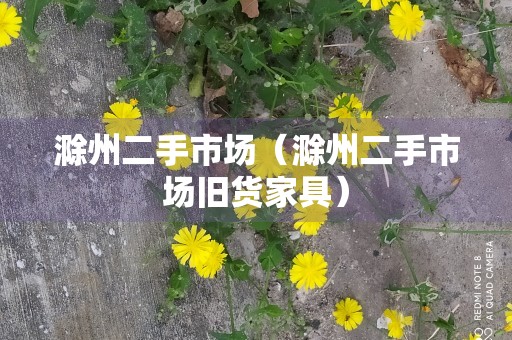 滁州二手市场（滁州二手市场旧货家具）