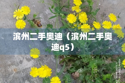 滨州二手奥迪（滨州二手奥迪q5）