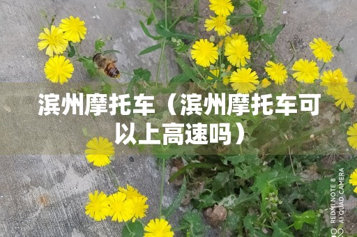 滨州摩托车（滨州摩托车可以上高速吗）