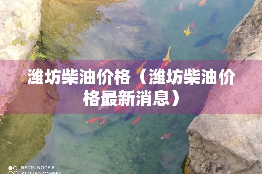 潍坊柴油价格（潍坊柴油价格最新消息）