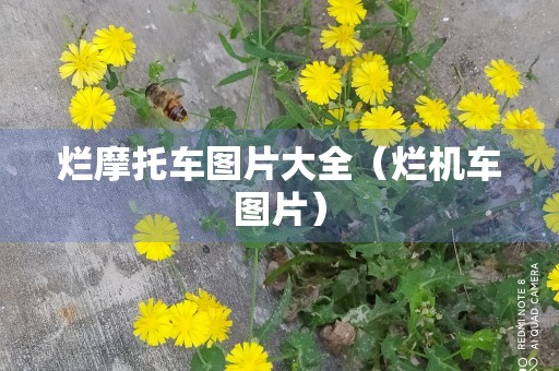 烂摩托车图片大全（烂机车图片）