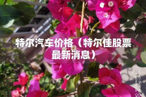 特尔汽车价格（特尔佳股票最新消息）