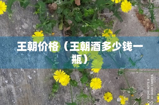 王朝价格（王朝酒多少钱一瓶）