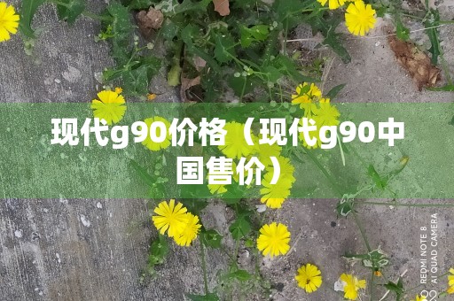 现代g90价格（现代g90中国售价）