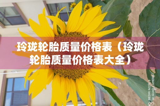 玲珑轮胎质量价格表（玲珑轮胎质量价格表大全）