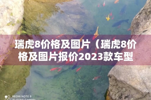 瑞虎8价格及图片（瑞虎8价格及图片报价2023款车型）