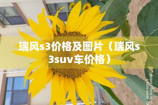 瑞风s3价格及图片（瑞风s3suv车价格）