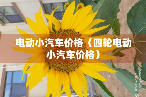 电动小汽车价格（四轮电动小汽车价格）