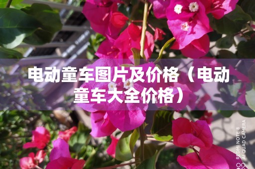 电动童车图片及价格（电动童车大全价格）