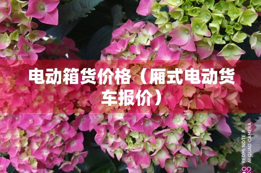 电动箱货价格（厢式电动货车报价）