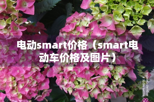 电动smart价格（smart电动车价格及图片）