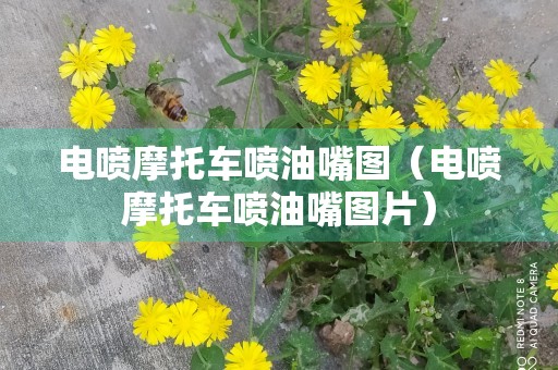 电喷摩托车喷油嘴图（电喷摩托车喷油嘴图片）