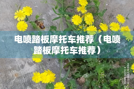 电喷踏板摩托车推荐（电喷踏板摩托车推荐）