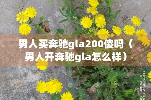 男人买奔驰gla200傻吗（男人开奔驰gla怎么样）