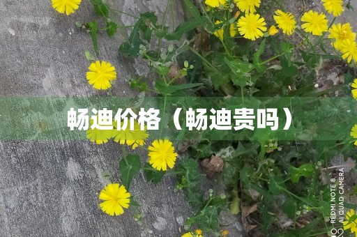 畅迪价格（畅迪贵吗）